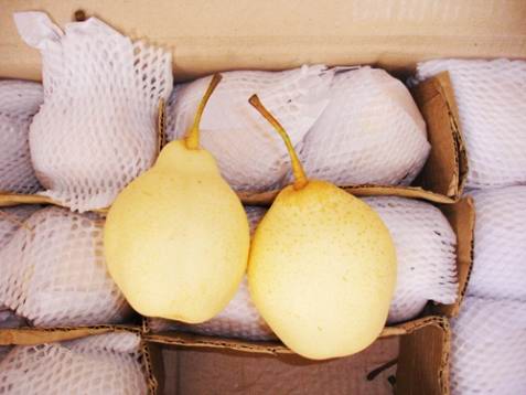 Калории в продуктах питания калькулятор (таблица и содержание)